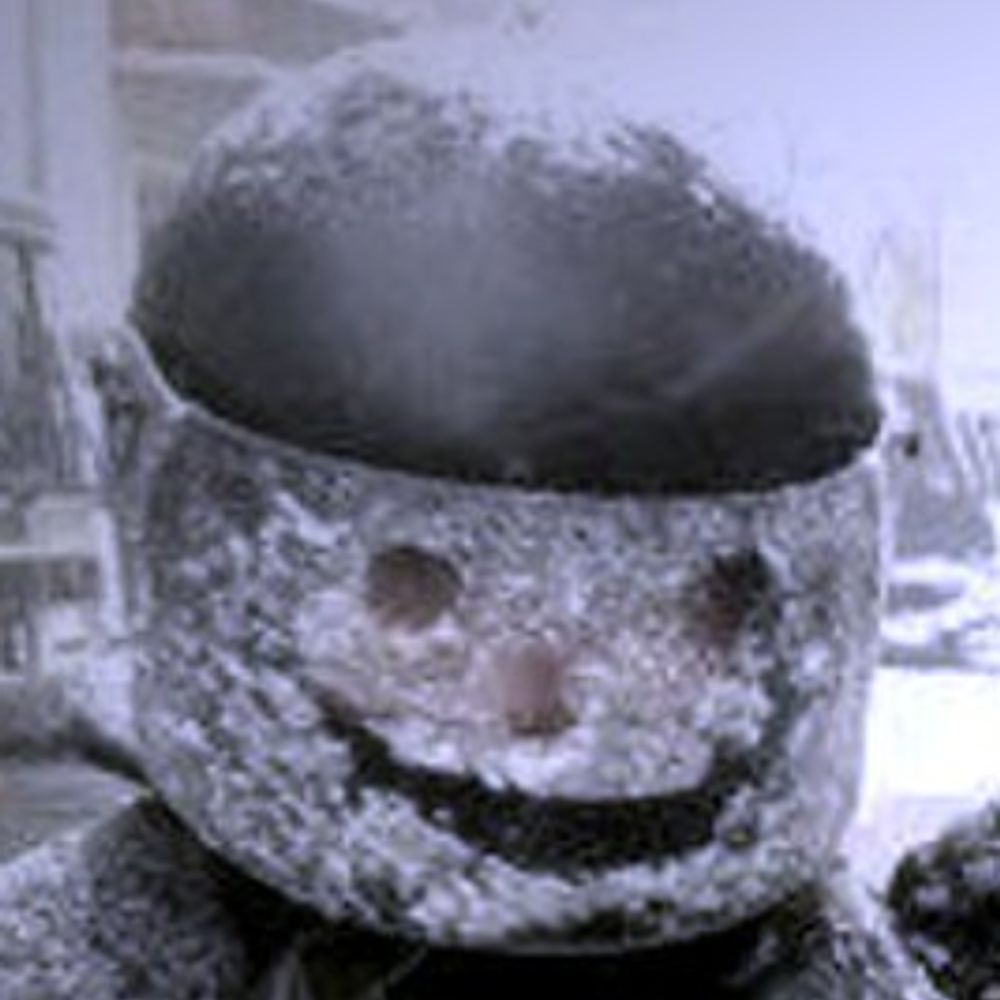 crash test mummy