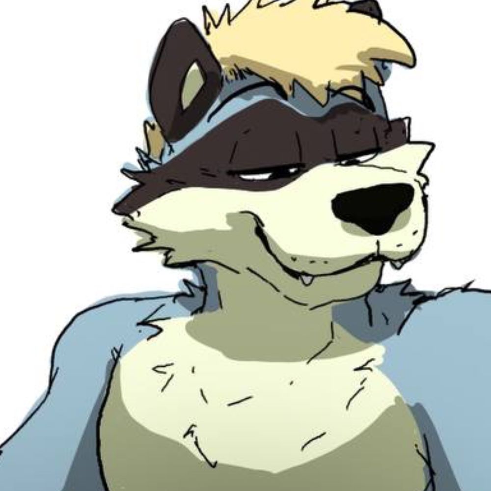 Para Raccoon's avatar