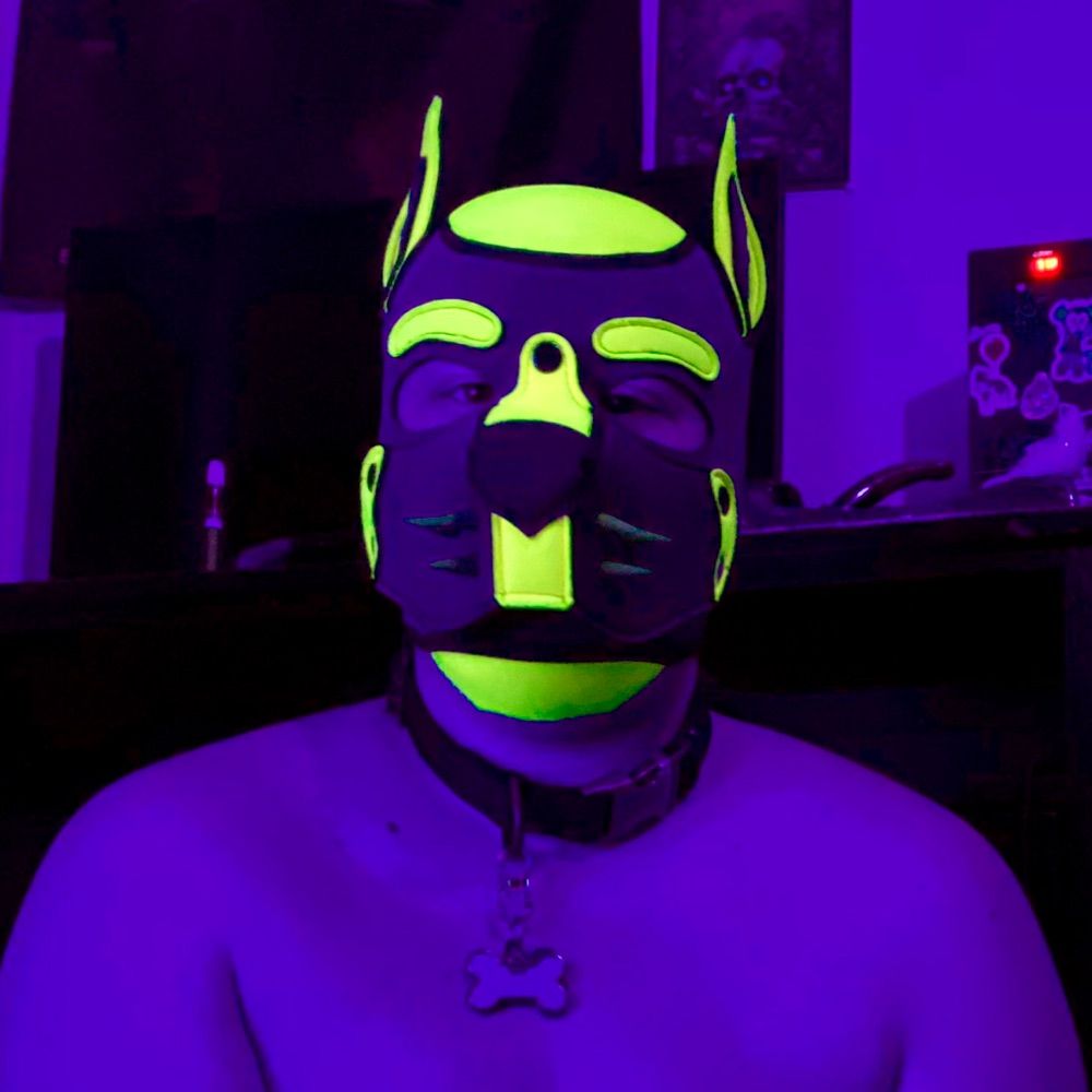 DOGDILLINGER (HE/IT)