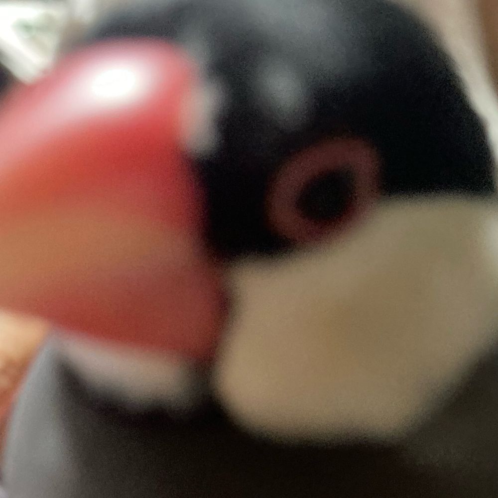けつ汗