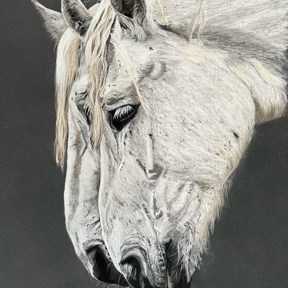 Animal portraits by Pam Blasavage