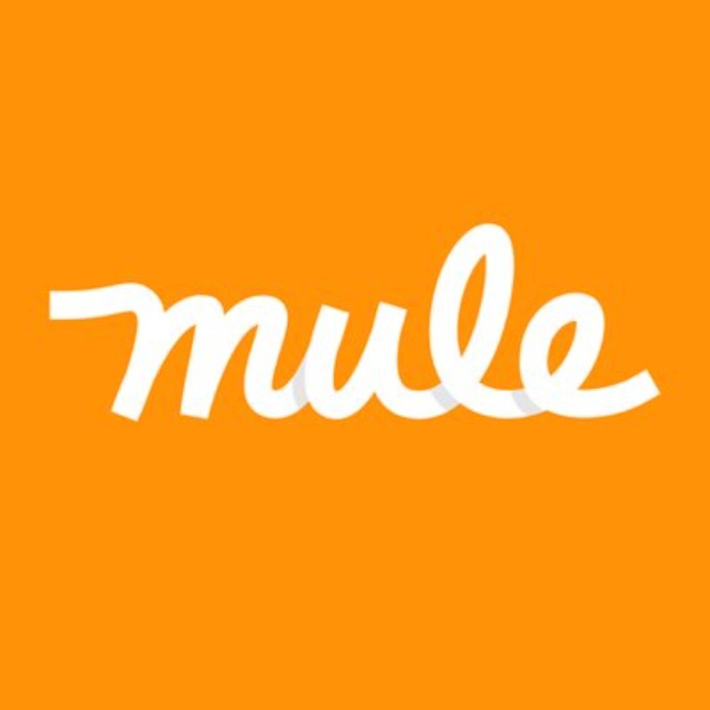 Mule