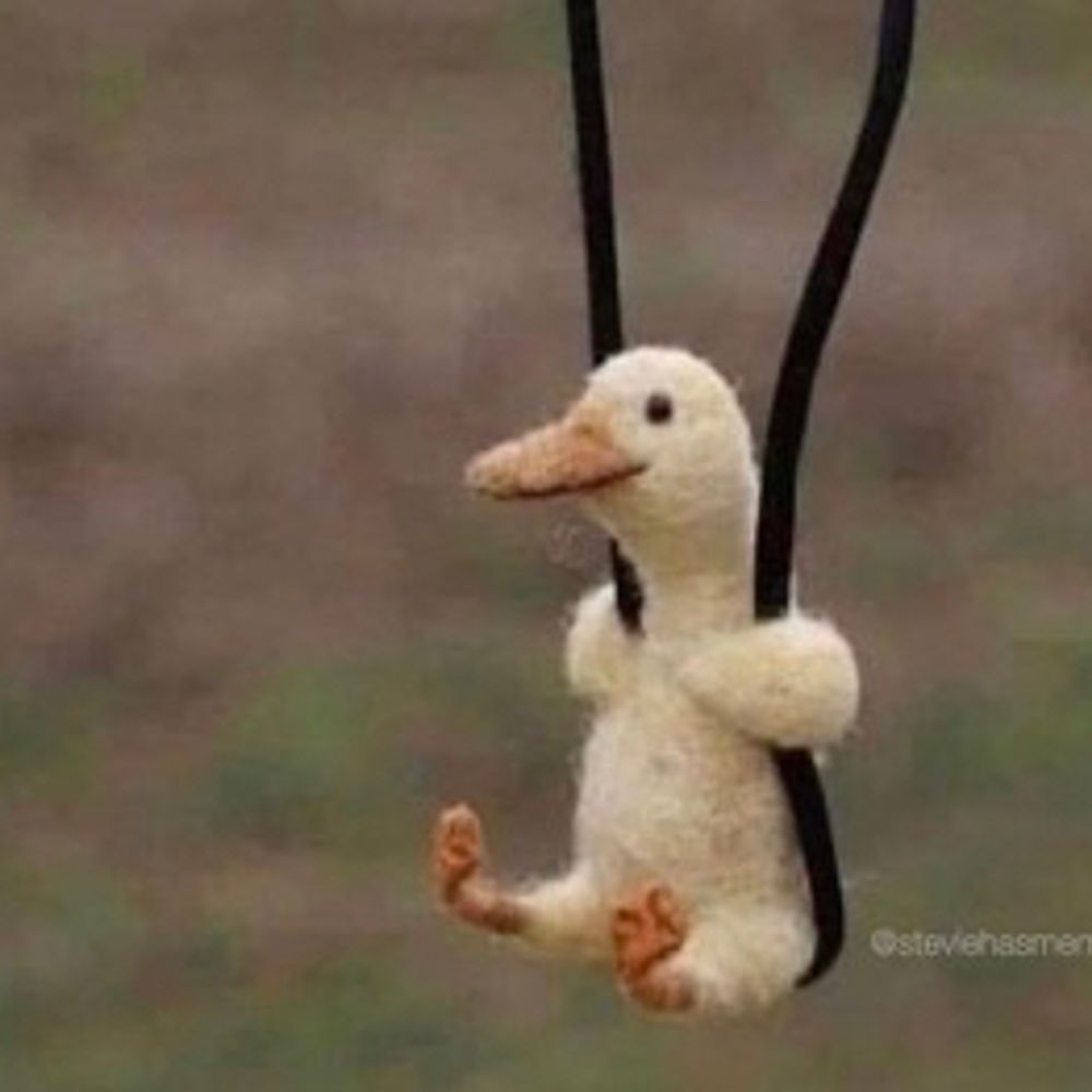 Moi_ioM_Moi