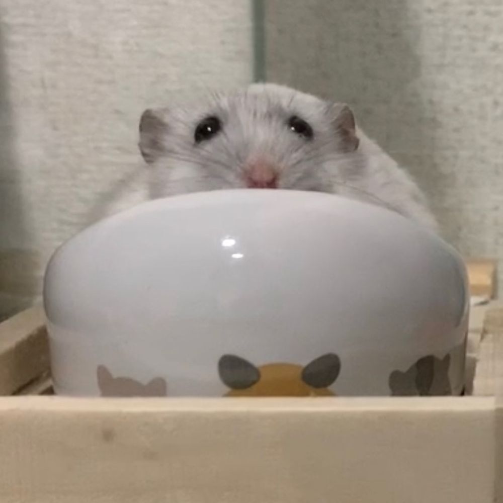 うずたろう