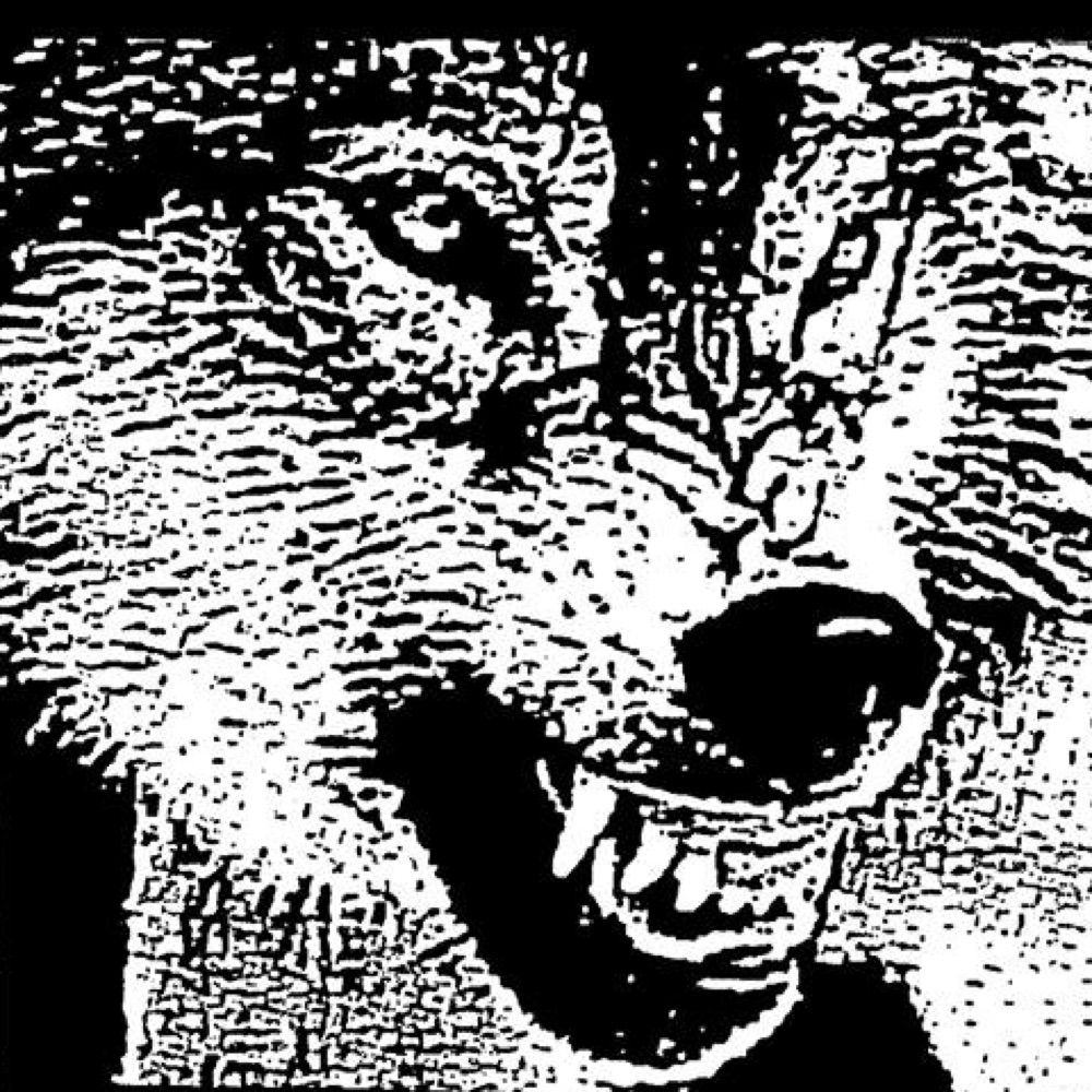 Animal Man