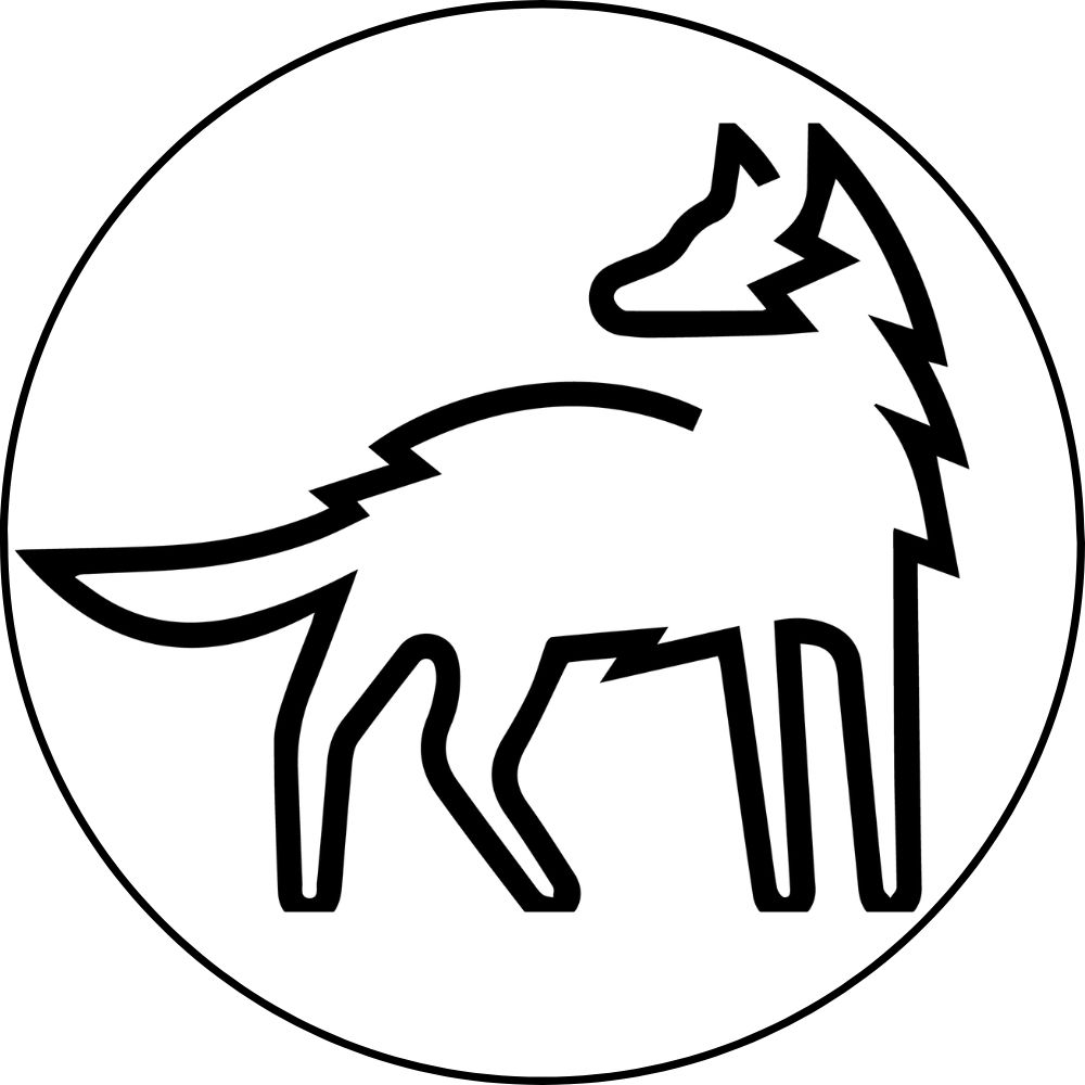 Festival du nouveau cinéma - FNC