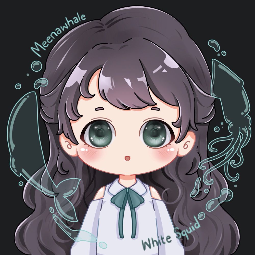 White Squid | Meenawhale
