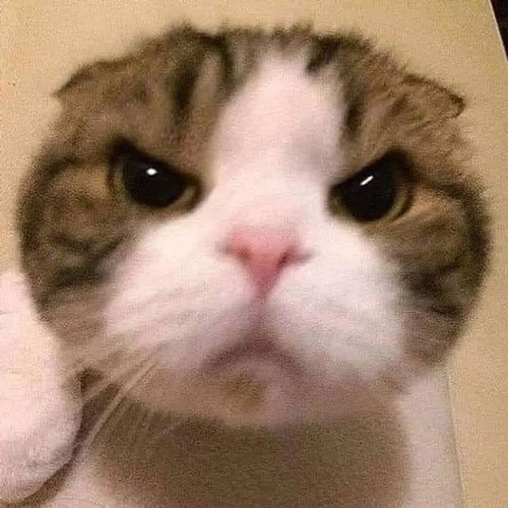 わっしょーーーーーい