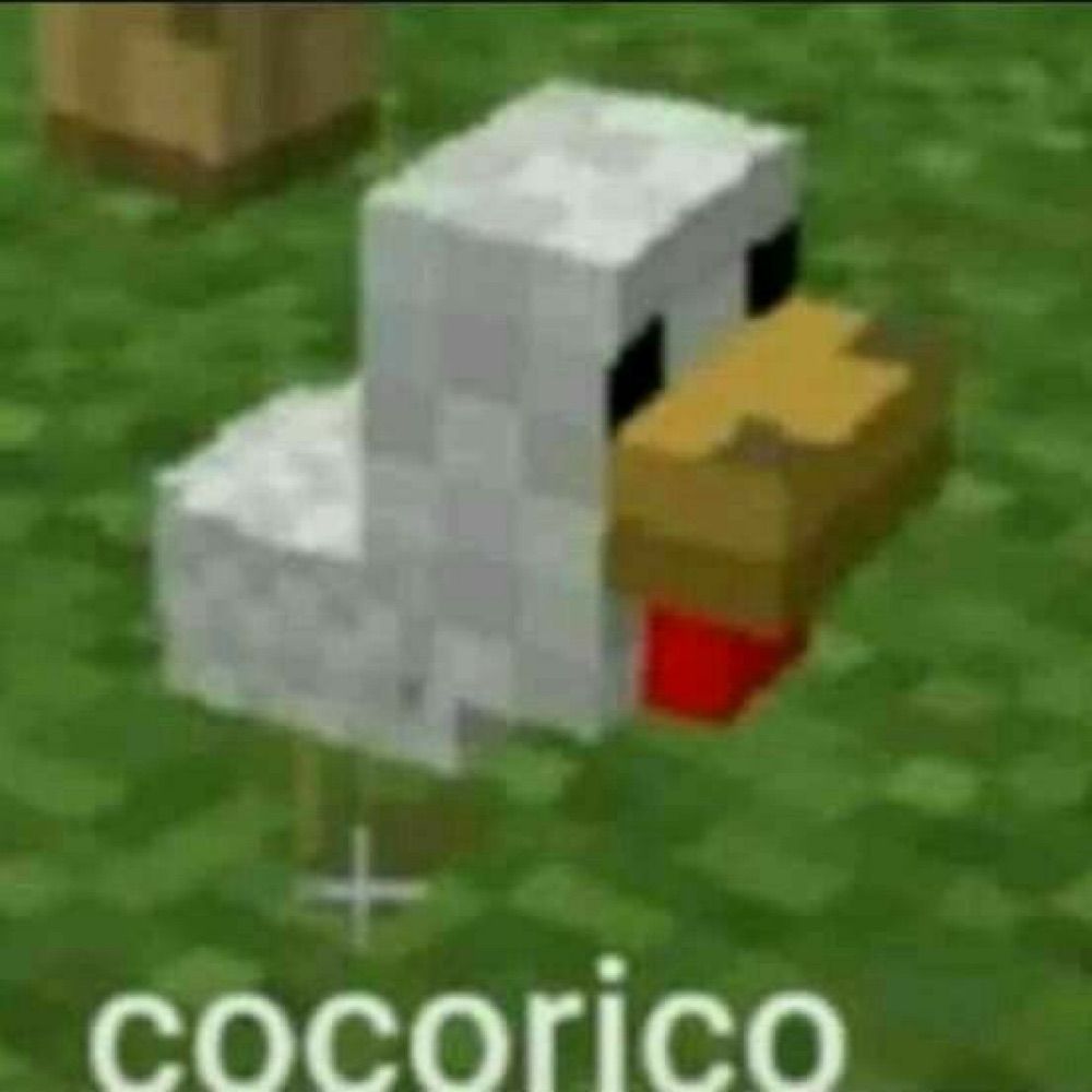 lili.lilás 