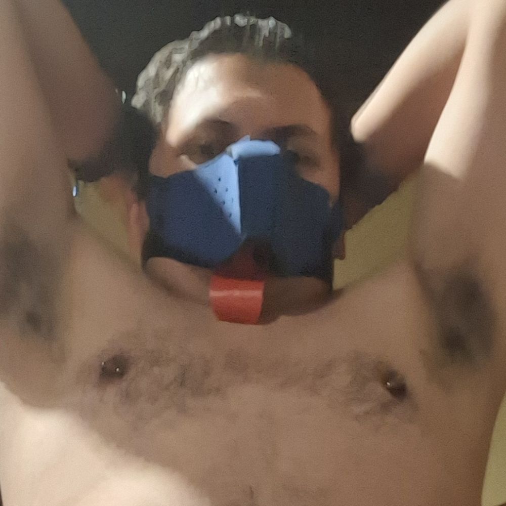 Pup bowsir