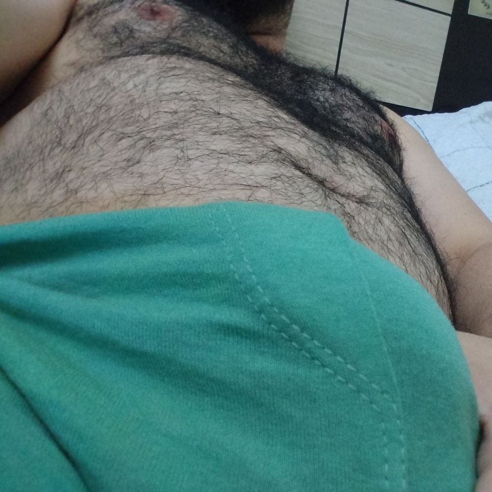 Urso do arouche