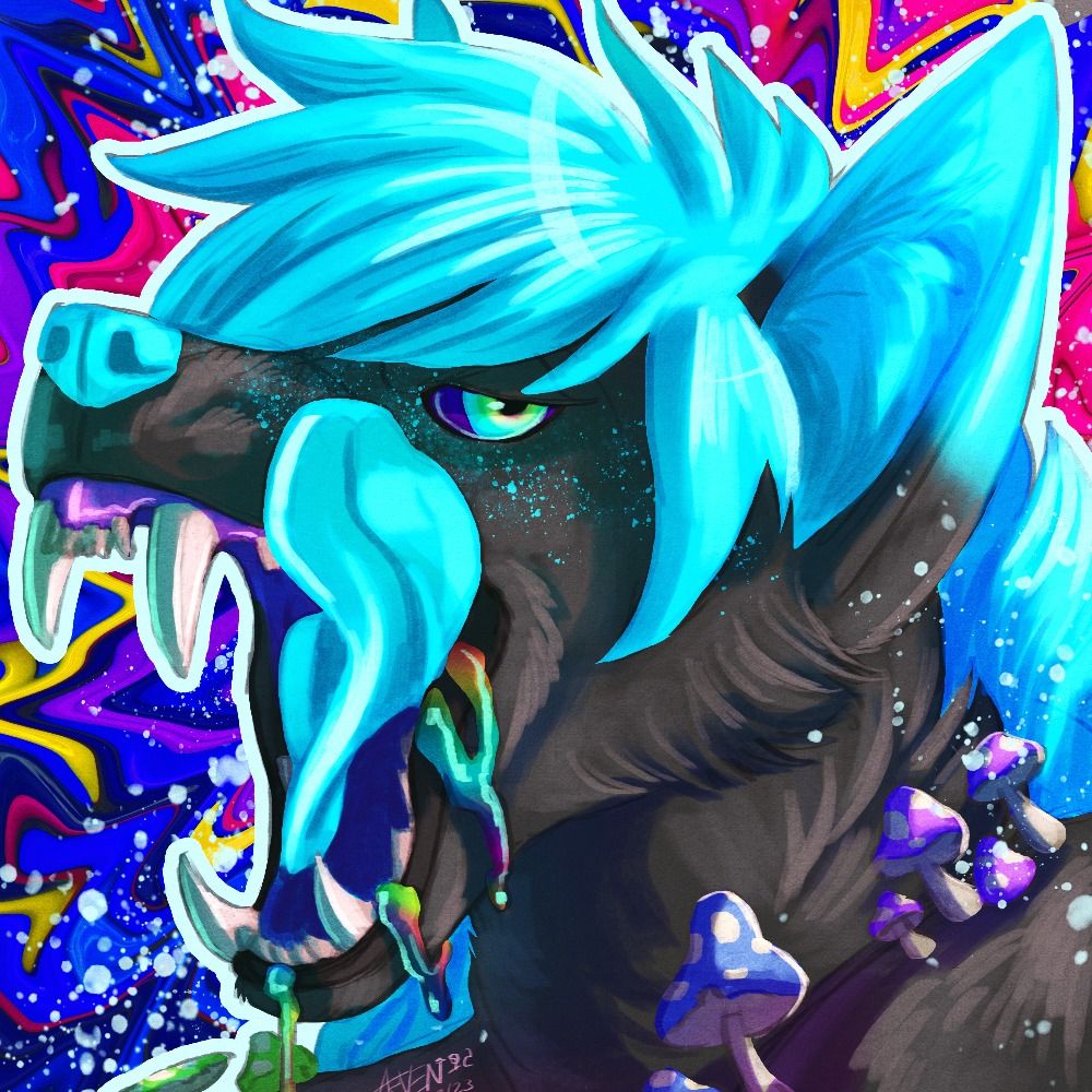 Shado, your Zervendoggo!