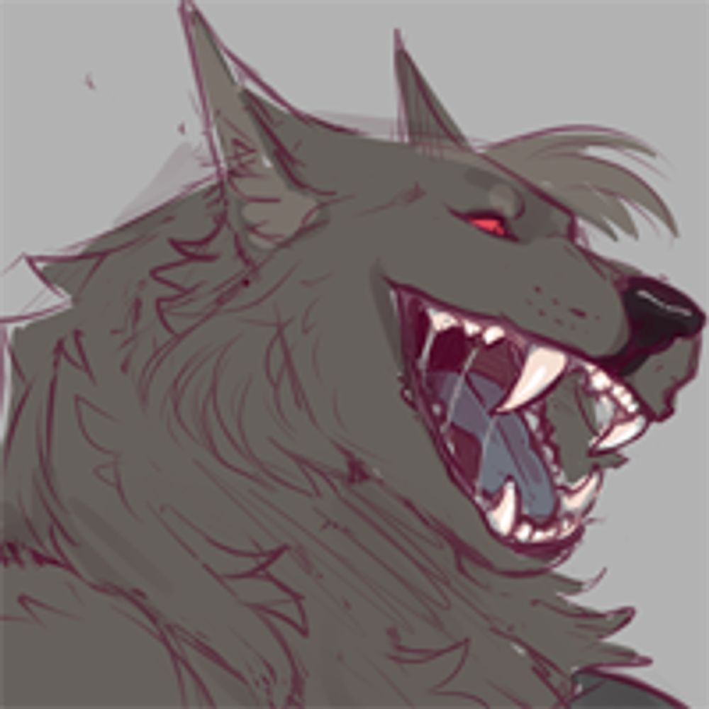 Where Wolf?