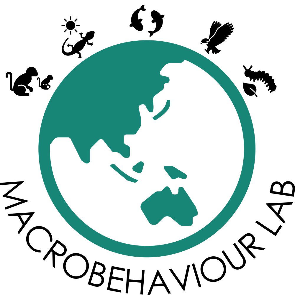 Macrobehaviour Lab