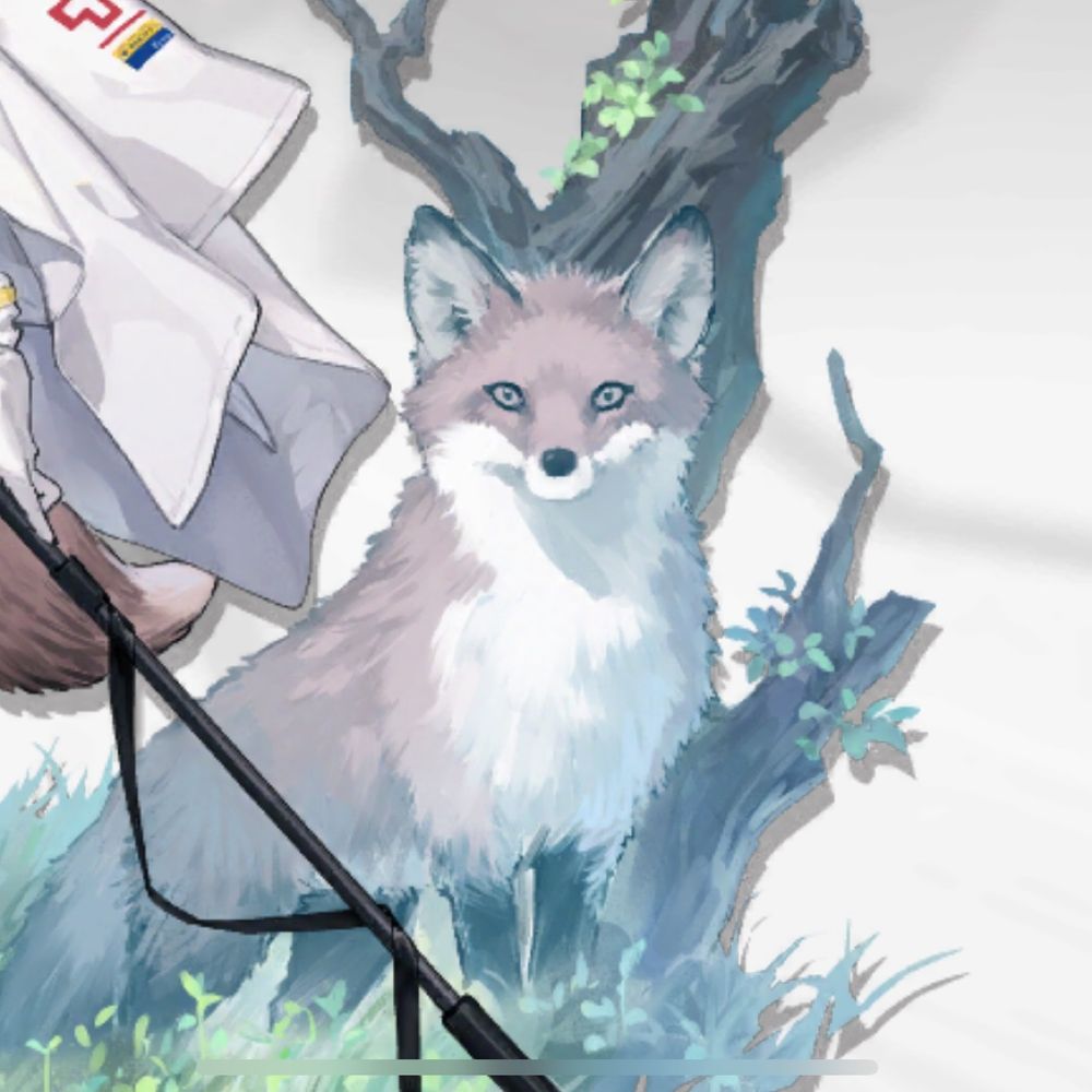 もふぃ