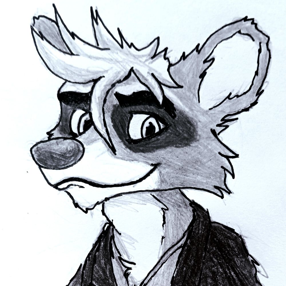 Savvy Raccoon