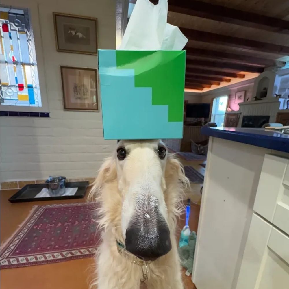 kazkazcar