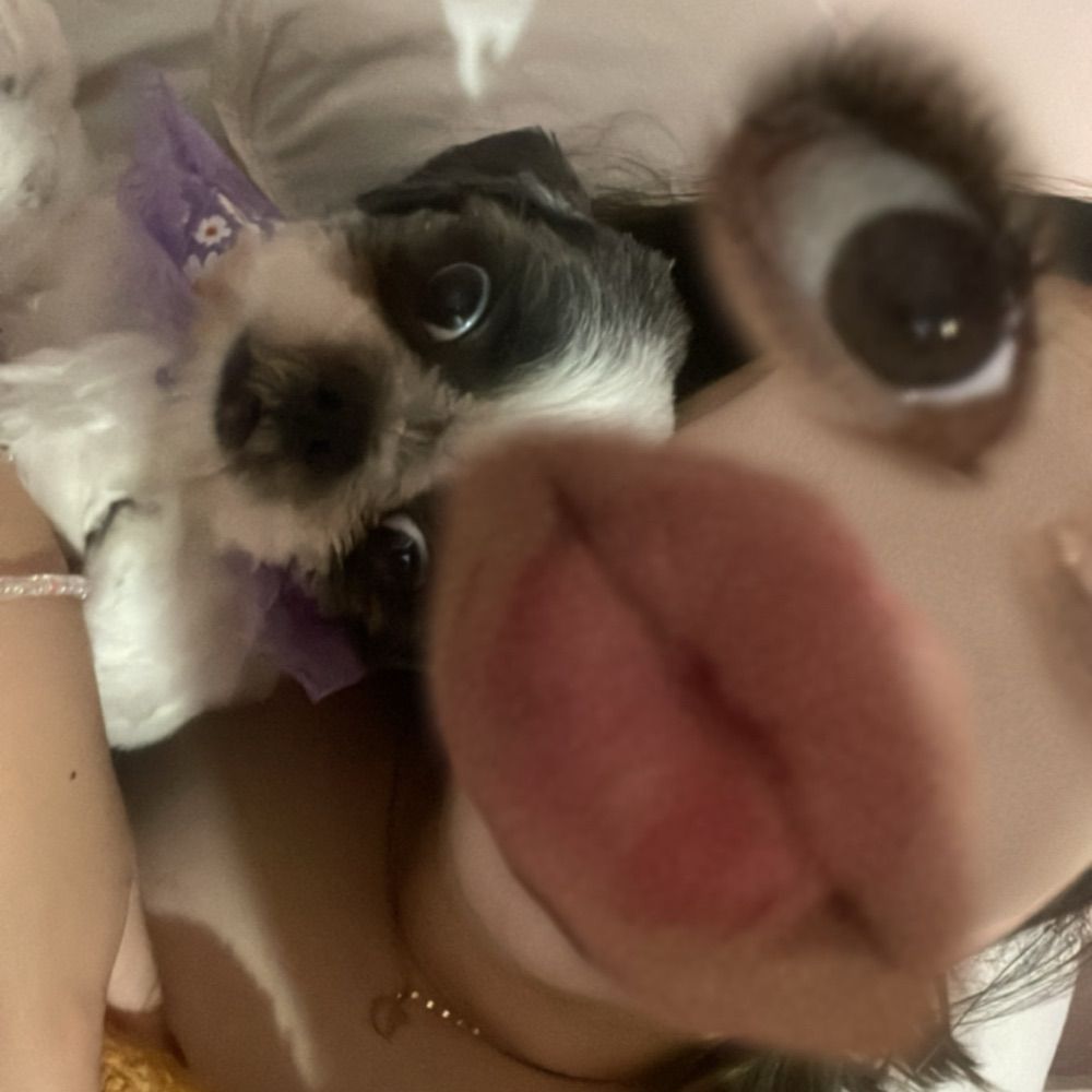 😹