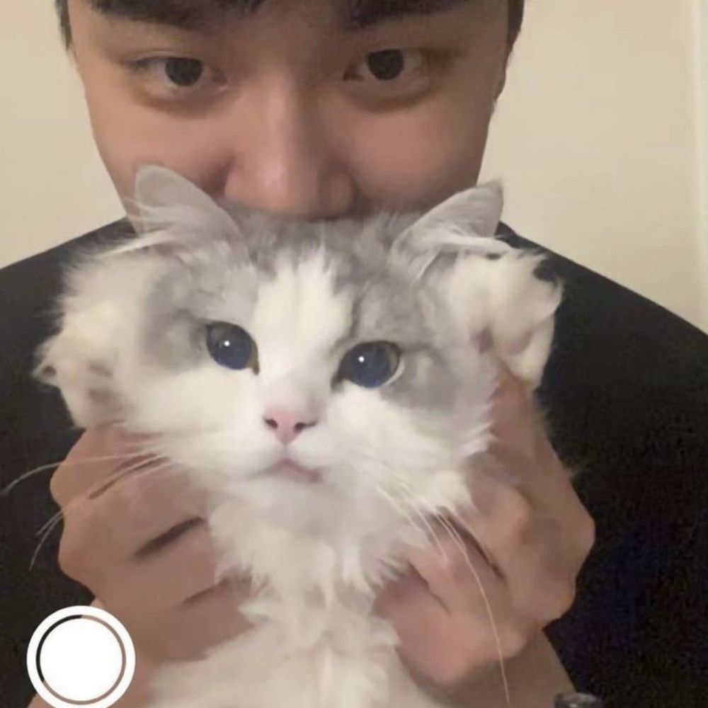 moxya;;