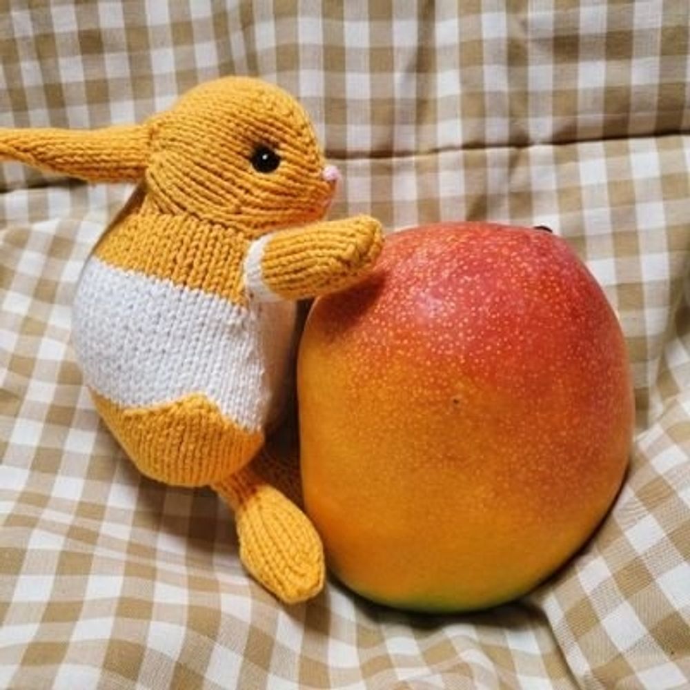 🧶얼그레이스콘🪡