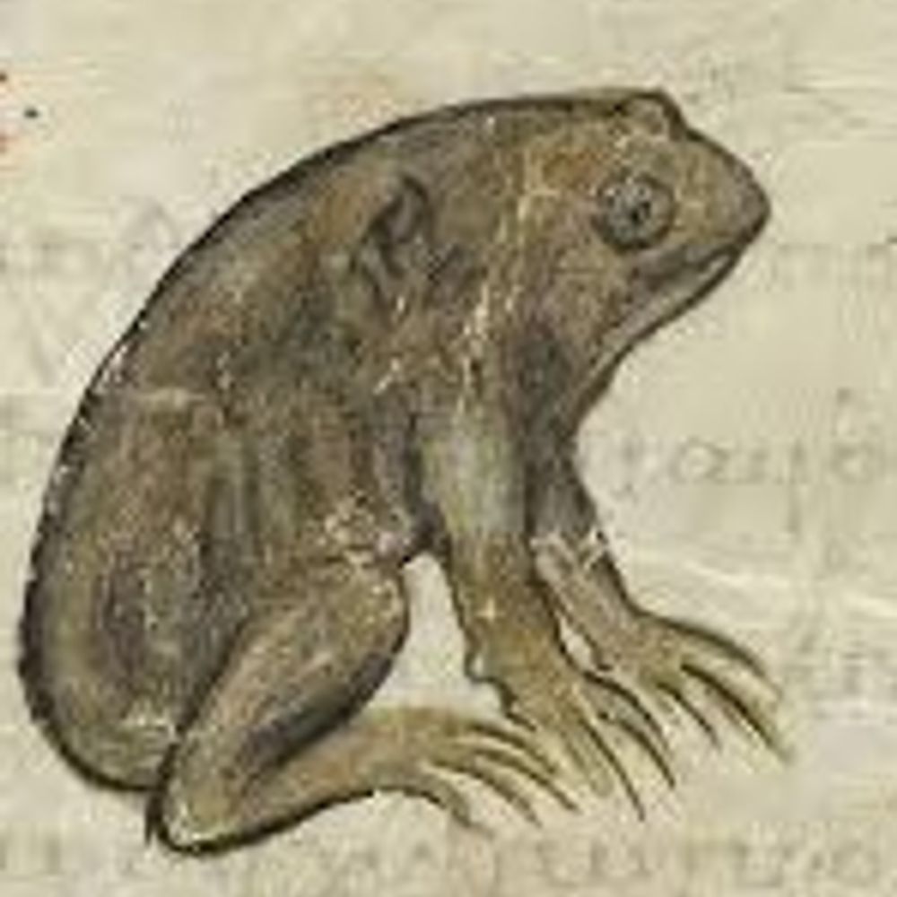 Medieval Toad