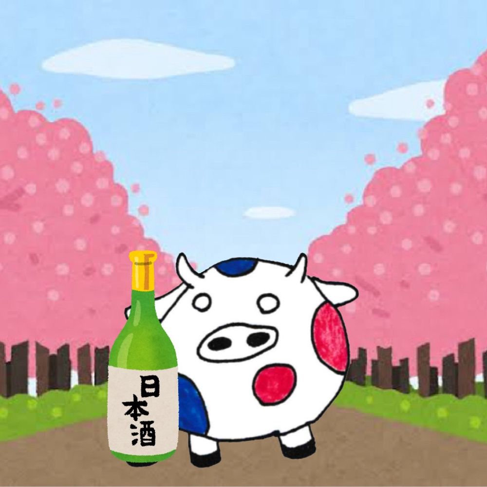 ノズパス