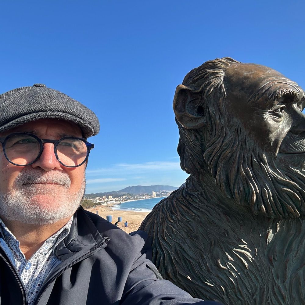 antonicama.bsky.social