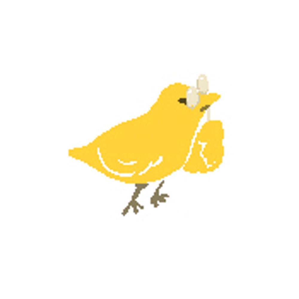 ぽんこ