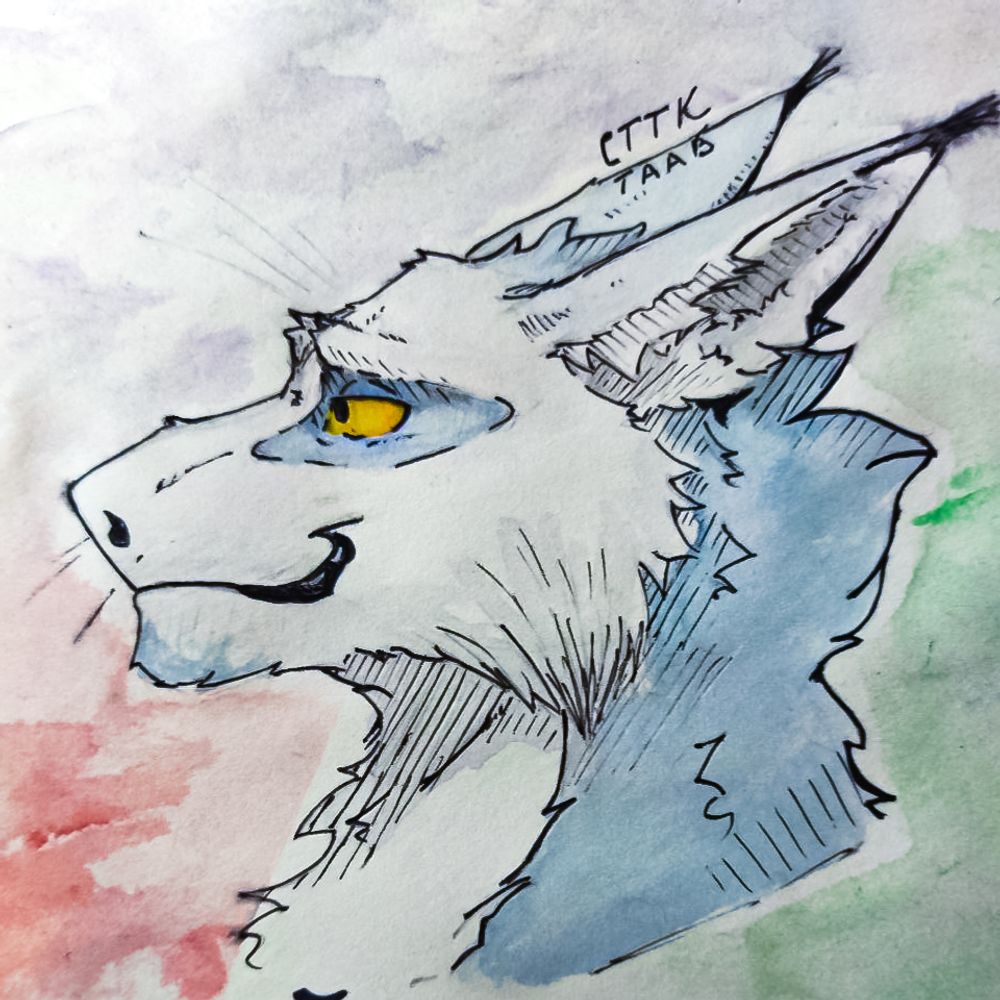 Anxious Boar (TAAB)