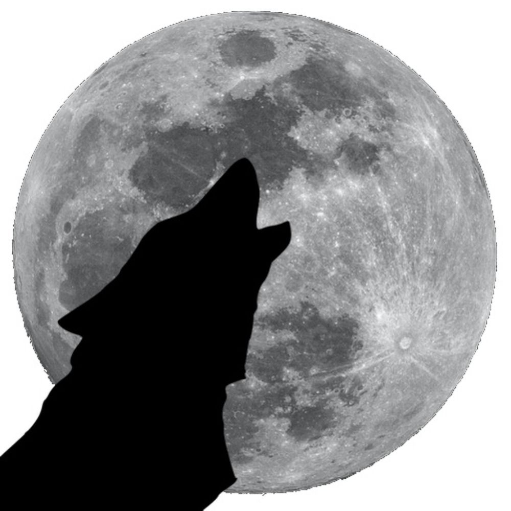 MoonWolf Games