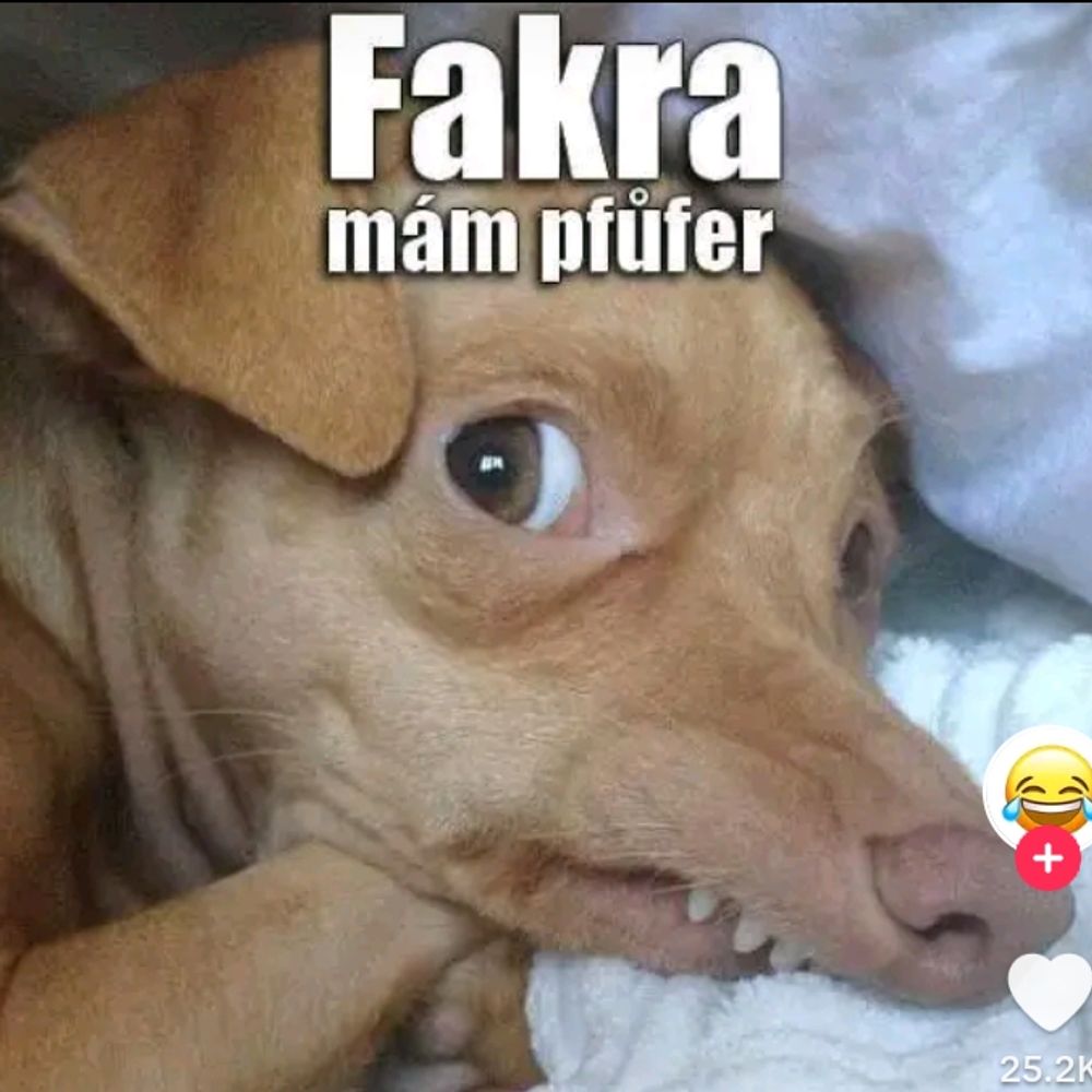 Šílená Oggová 