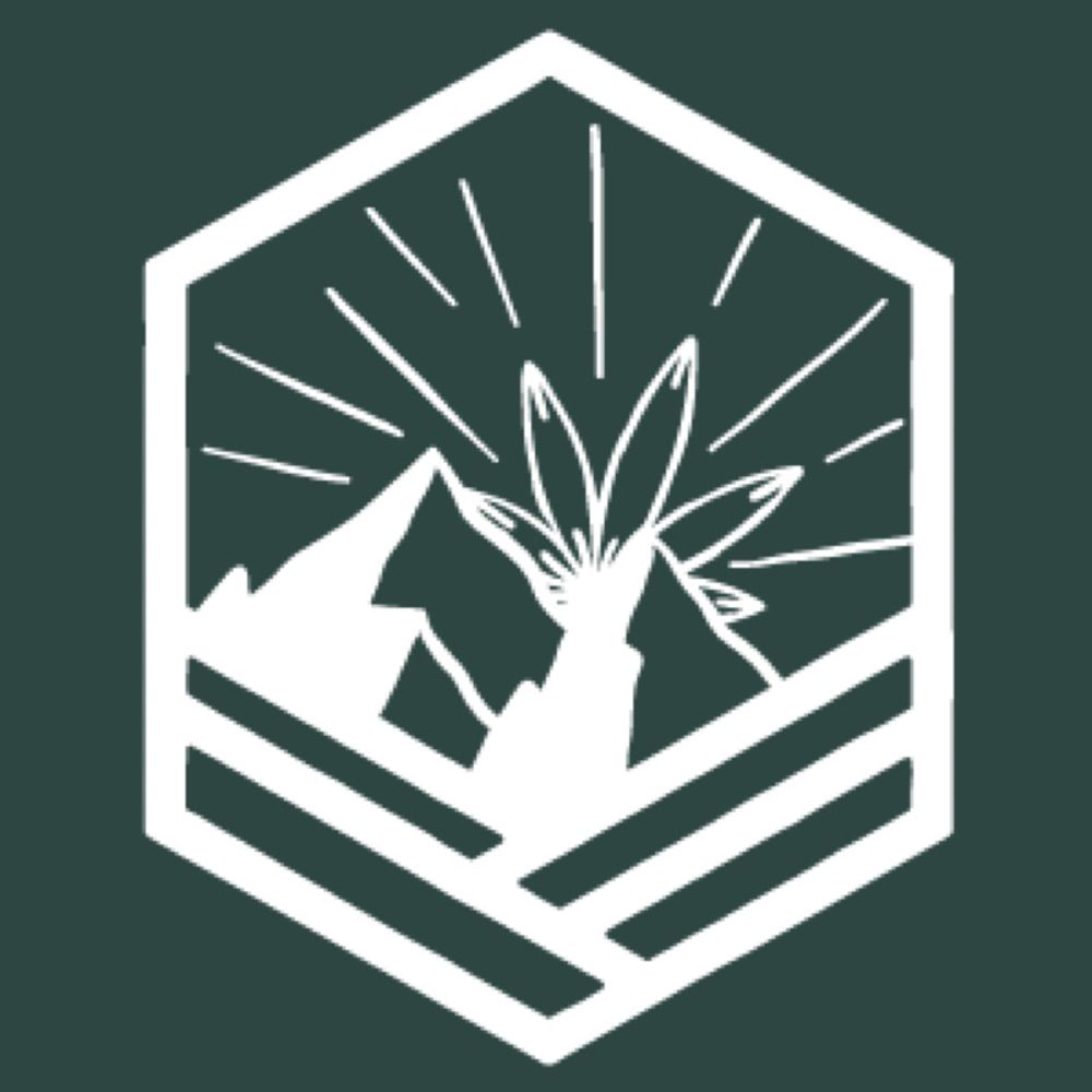 52eighty Designs