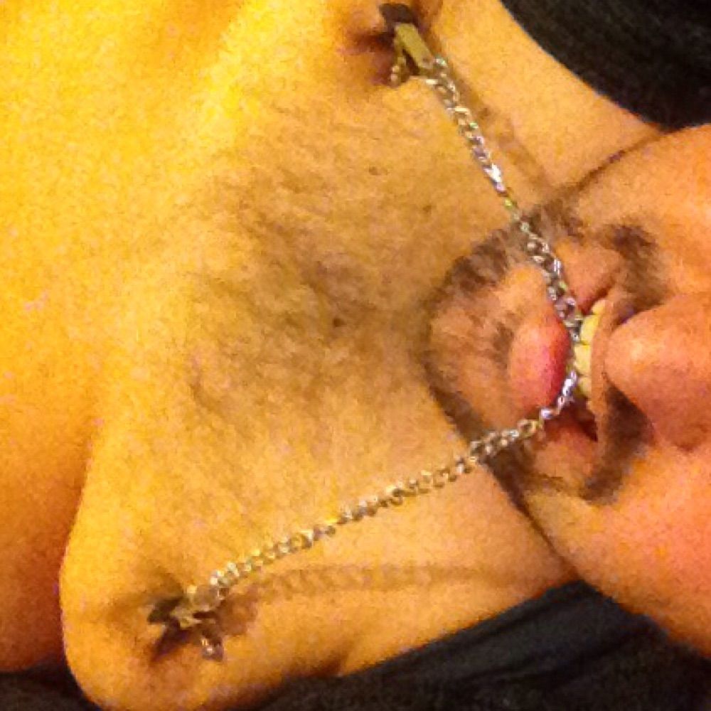 Kinky Melbourne Fairy Bear