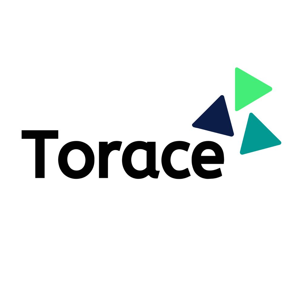 Team Torace - We do mentor matching