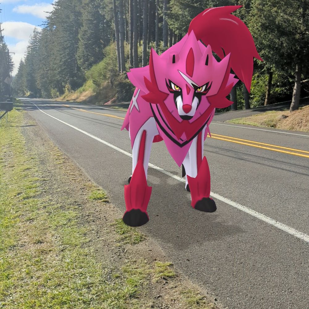 Zamazenta guy