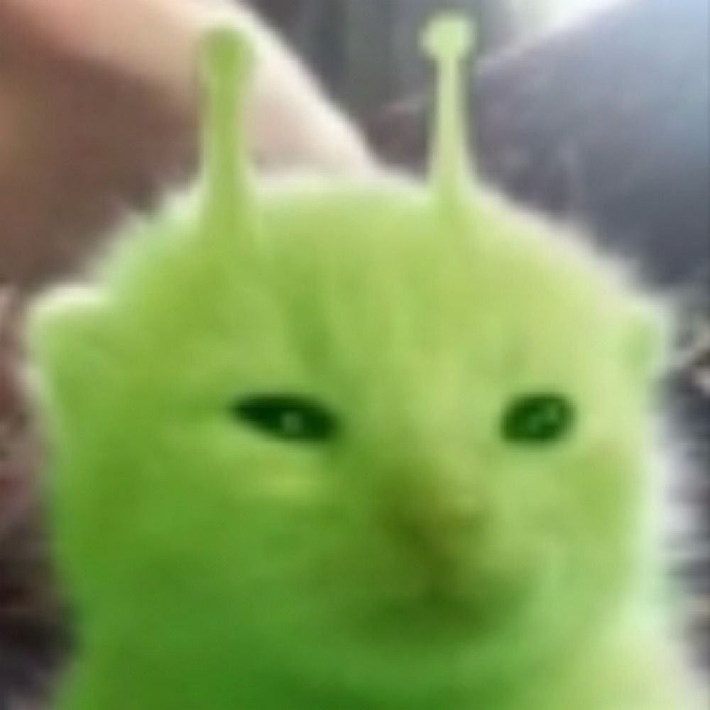 Kay