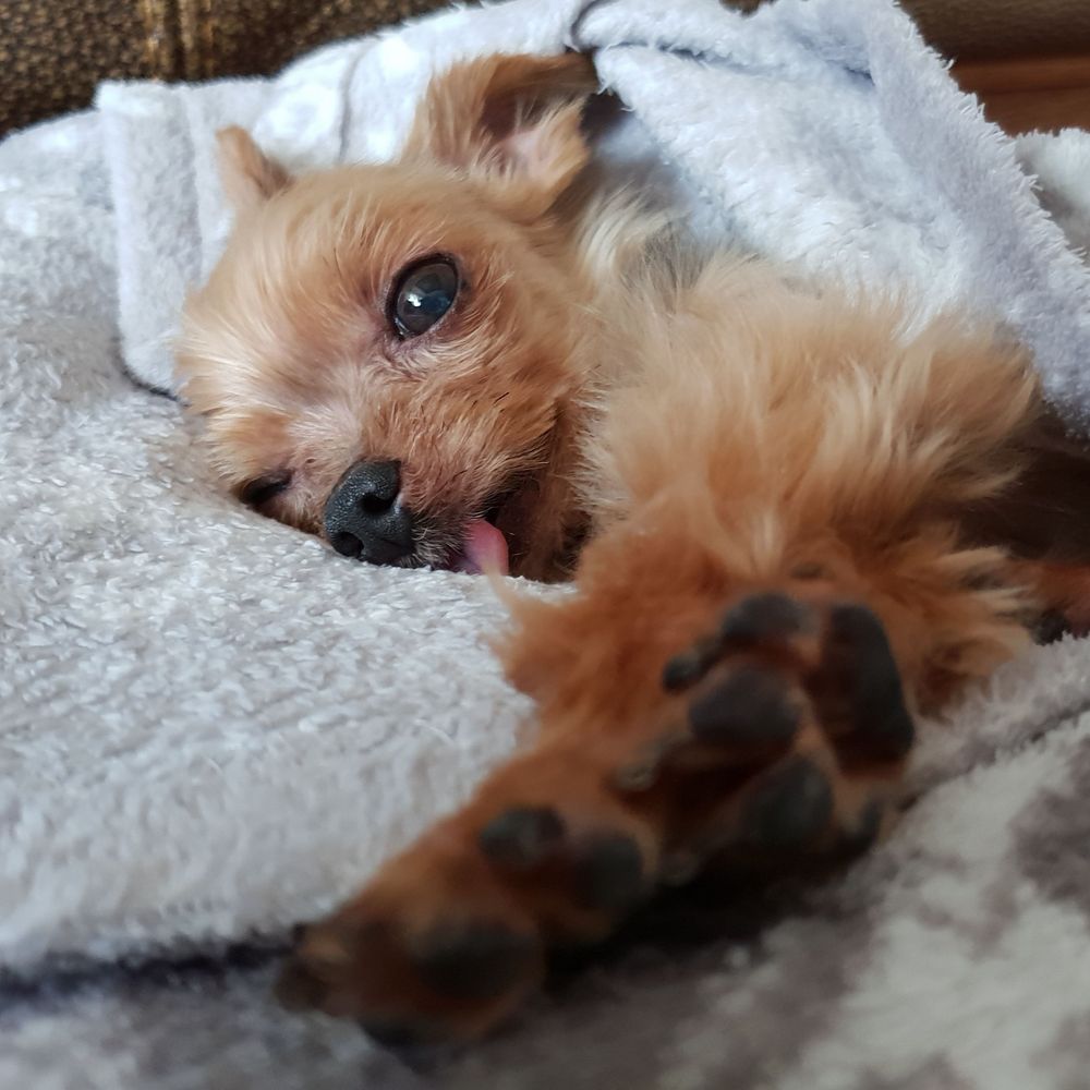 쎈누나