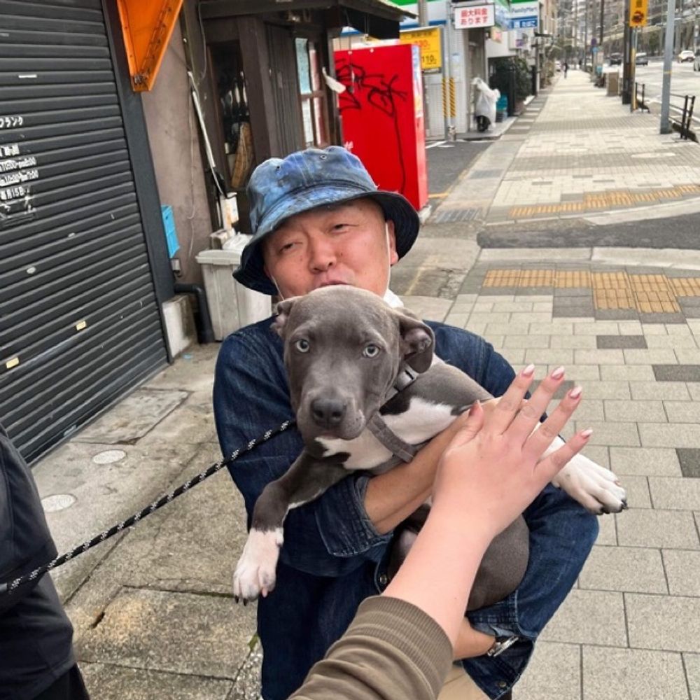 jpmaeshu