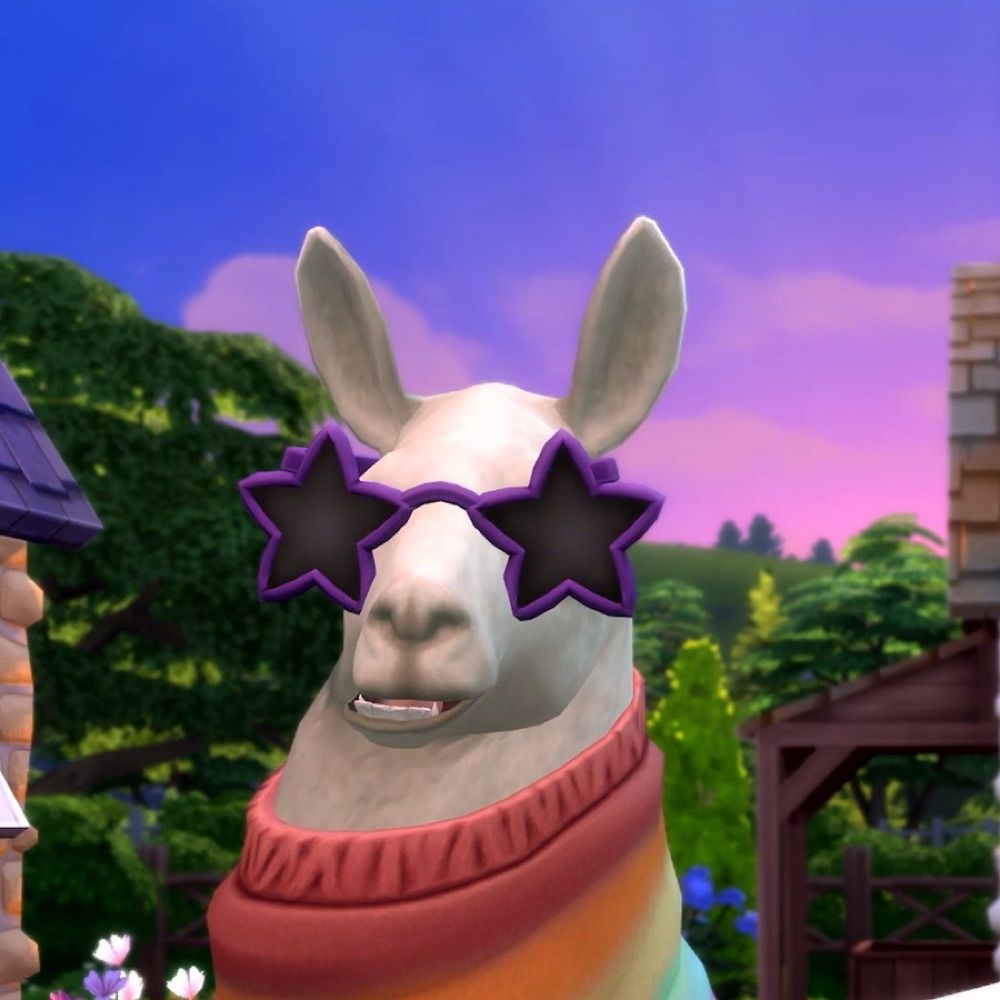 The devil wears llama