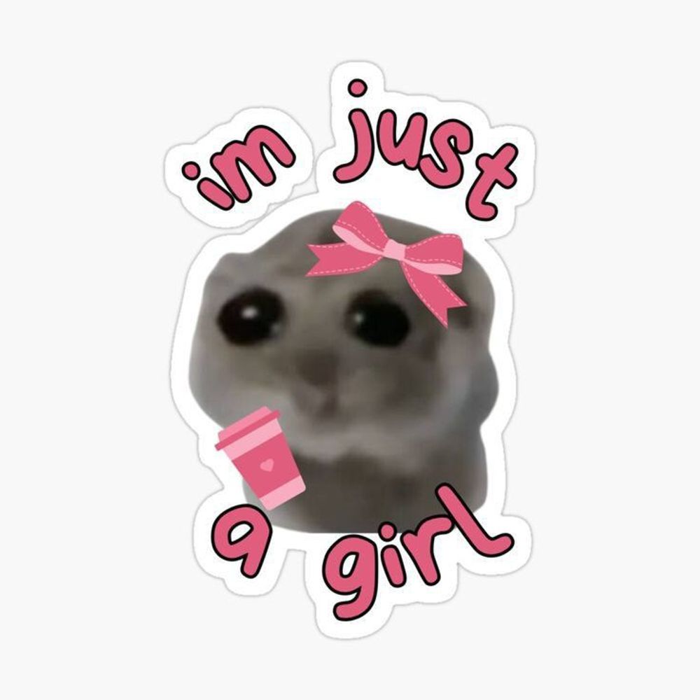 niss | FOLLBACK YYA !