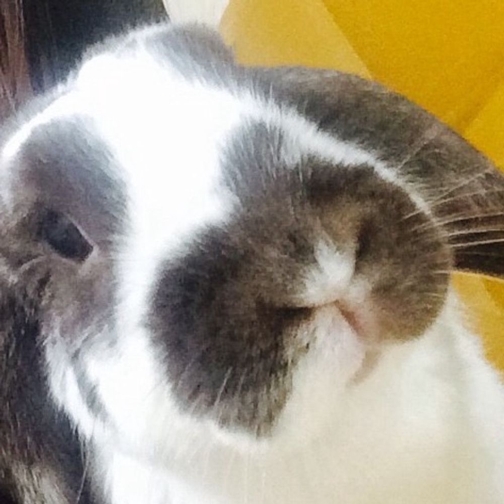 ふう
