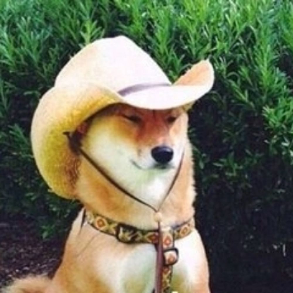 Cowboy Shibop