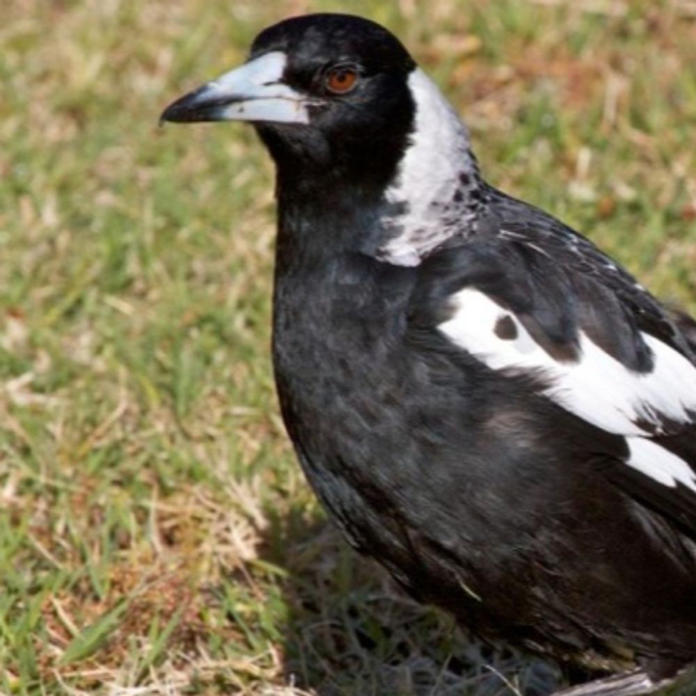 WarregoWarrigal
