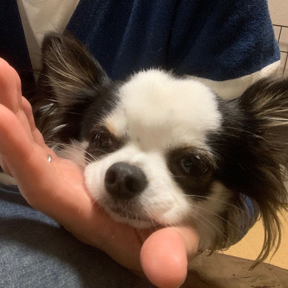ヒデ