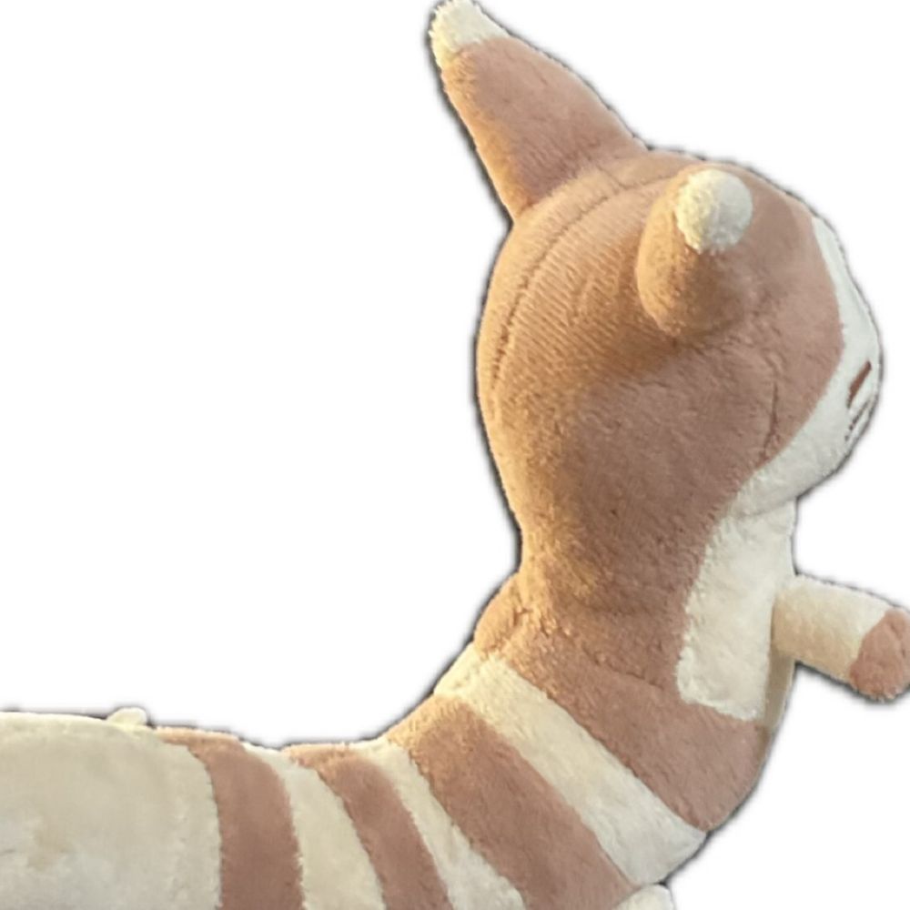の