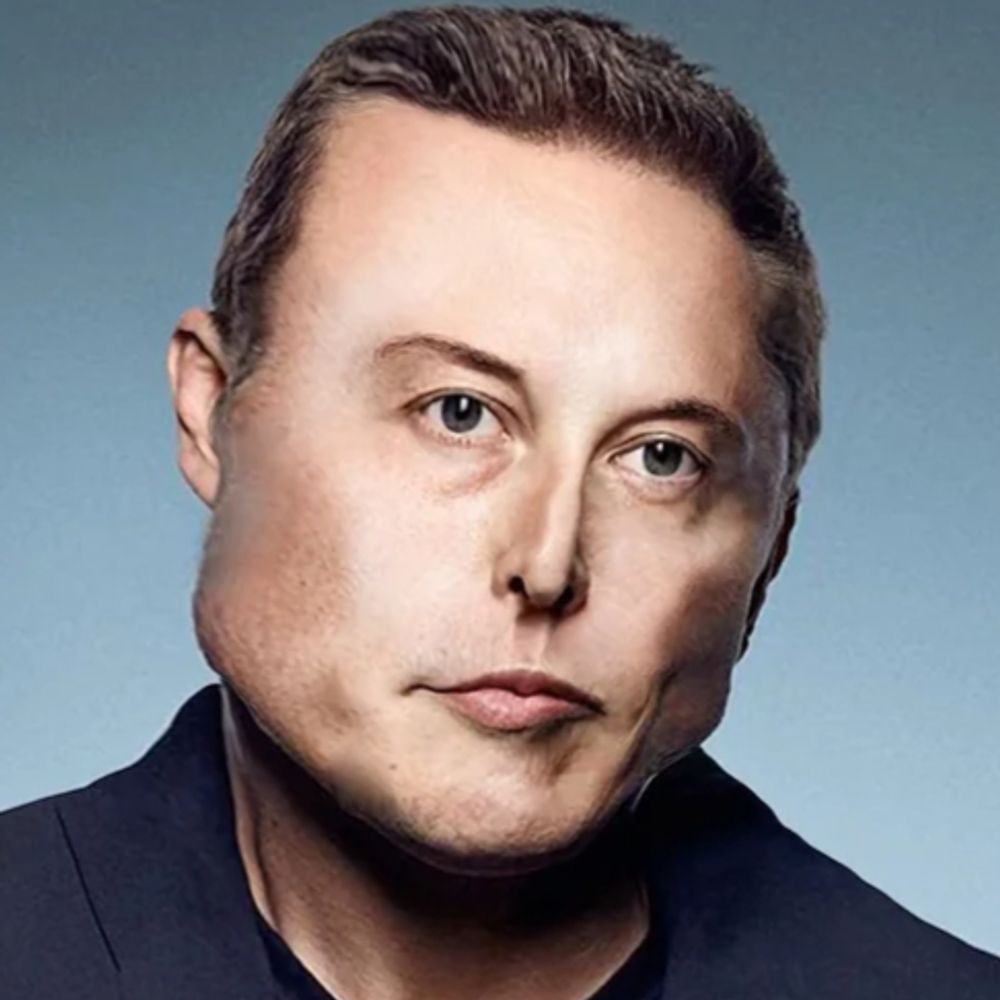 Elongated Muskrat