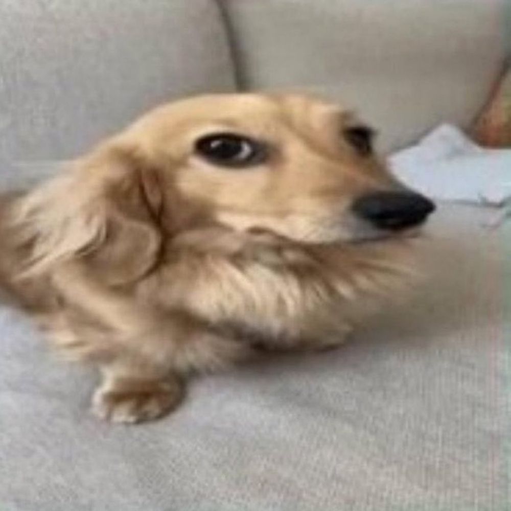 Pequena Senhorita Triste