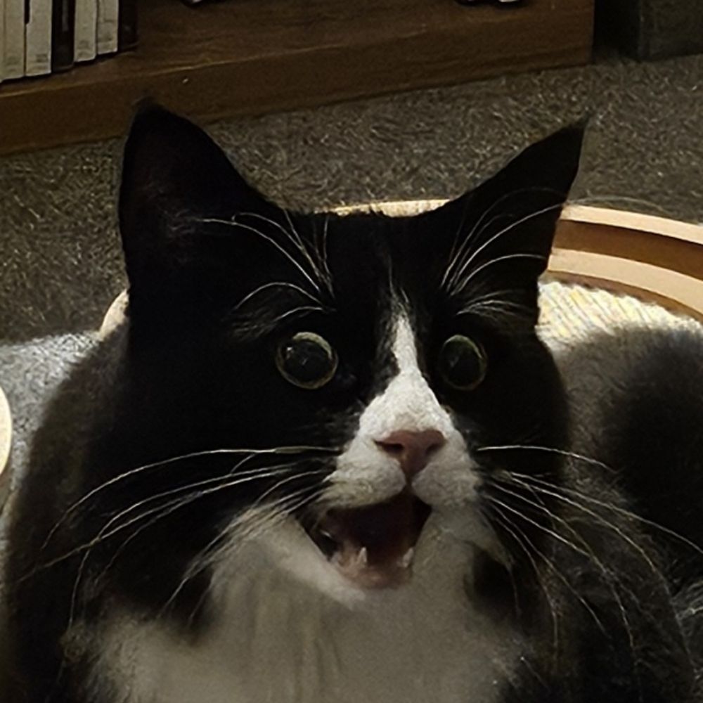 Hazel Dewsnap