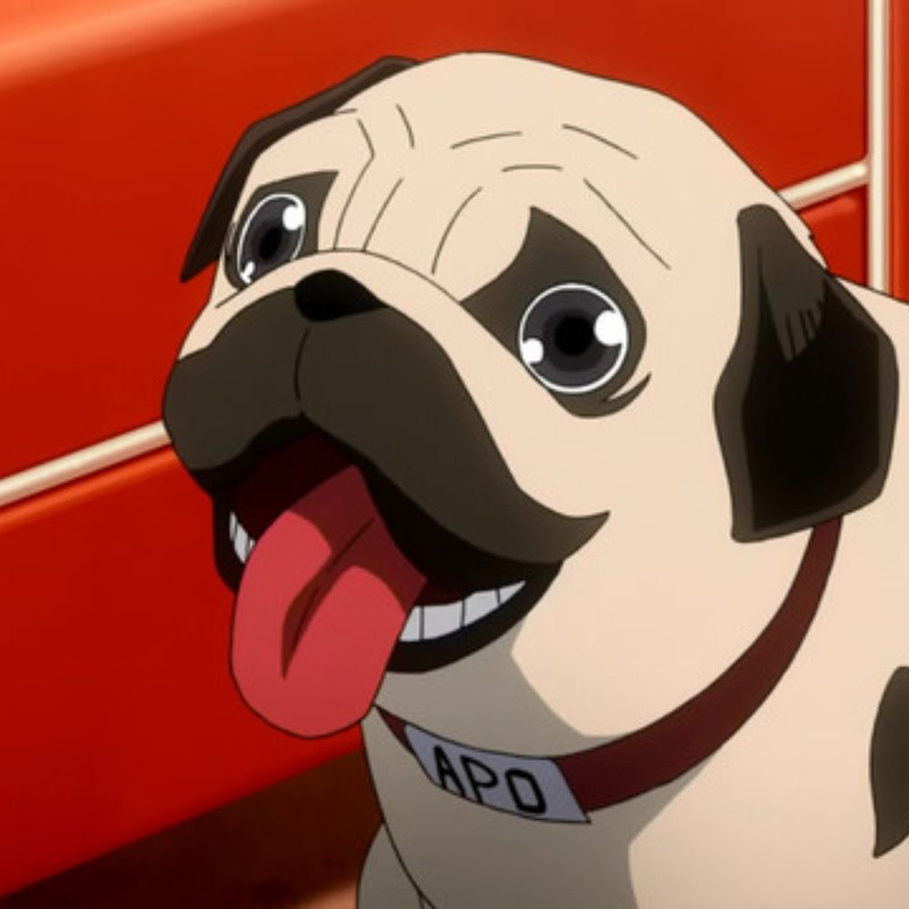 Pugsy