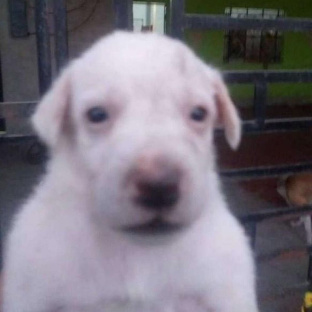 Bunjr